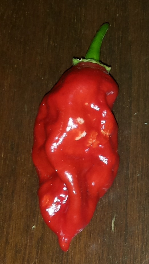 pepper1.jpg